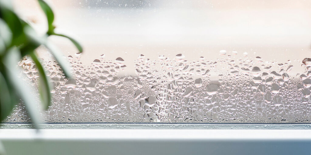 Kondenswasser am Fenster: Das sind die 5 häufigsten Ursachen - Genialetricks