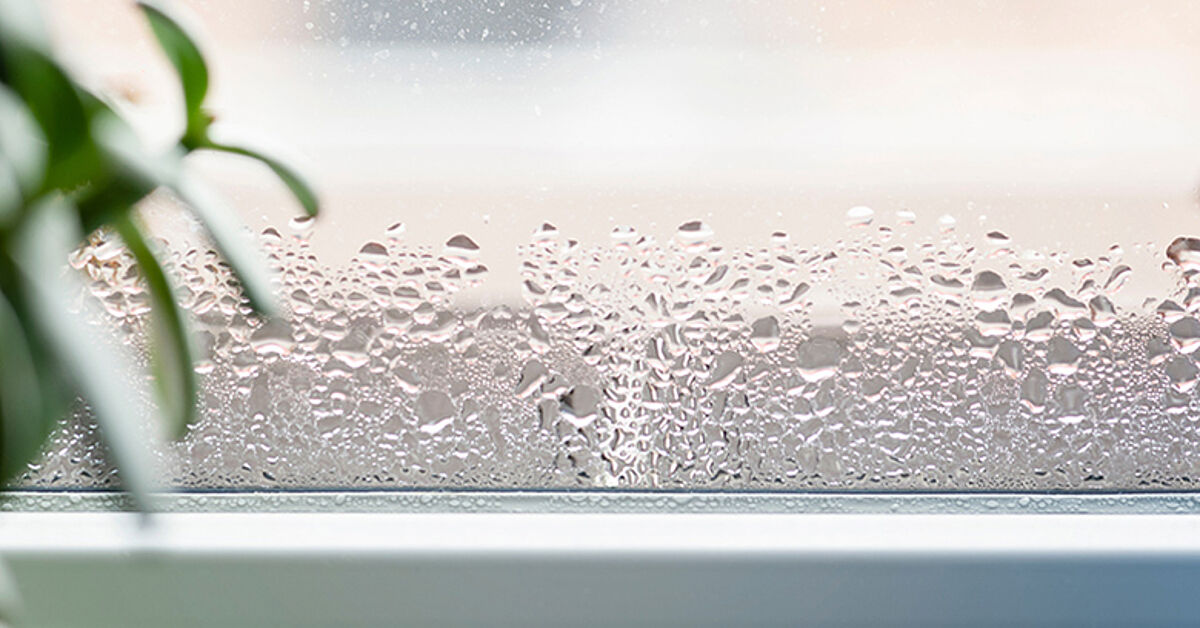 Kondenswasser-Absorbierer für Fenster "Katzen", 4er-Set 55119000